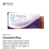 Carnosin Plus Pineda Caja 10 Amp x 2 ml